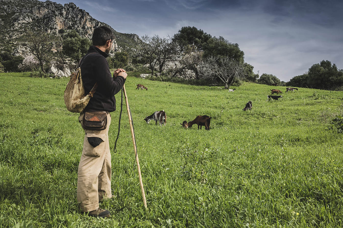 Juan Ocaña, cabras de raza payoya y Sierra Crestellina